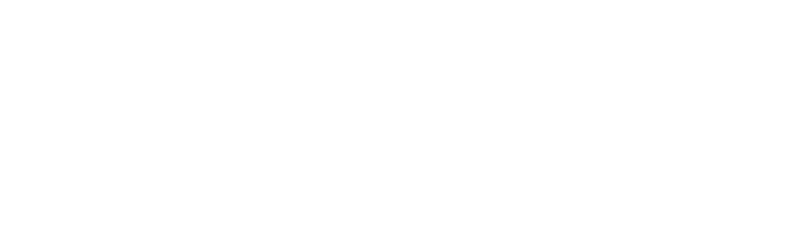 Chintora Trading FZE LLC